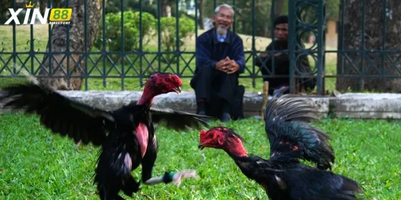 Tính minh bạch và công bằng