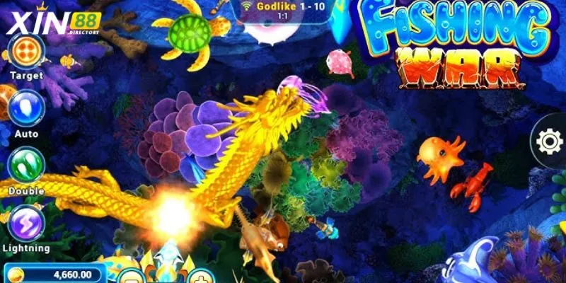 Hình ảnh & video demo